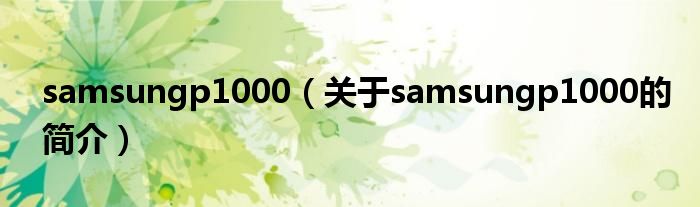 samsungp1000（关于samsungp1000的简介）