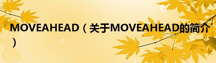 MOVEAHEAD（关于MOVEAHEAD的简介）