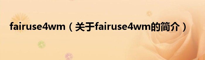 fairuse4wm（关于fairuse4wm的简介）