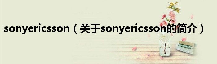 sonyericsson（关于sonyericsson的简介）