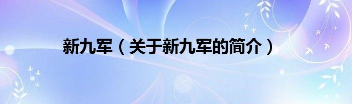 新九军（关于新九军的简介）