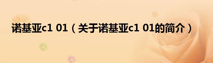 诺基亚c1 01（关于诺基亚c1 01的简介）