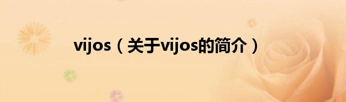 vijos（关于vijos的简介）