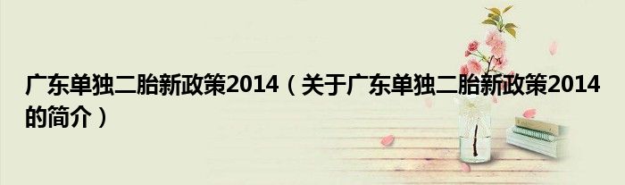 广东单独二胎新政策2014（关于广东单独二胎新政策2014的简介）