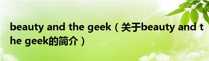 beauty and the geek（关于beauty and the geek的简介）