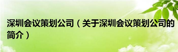 深圳会议策划公司（关于深圳会议策划公司的简介）