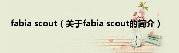 fabia scout（关于fabia scout的简介）