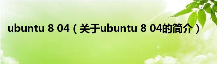 ubuntu 8 04（关于ubuntu 8 04的简介）