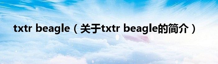 txtr beagle（关于txtr beagle的简介）