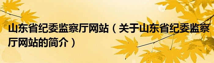 山东省纪委监察厅网站（关于山东省纪委监察厅网站的简介）