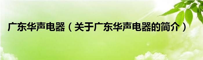 广东华声电器（关于广东华声电器的简介）