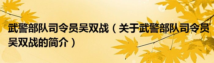 武警部队司令员吴双战（关于武警部队司令员吴双战的简介）