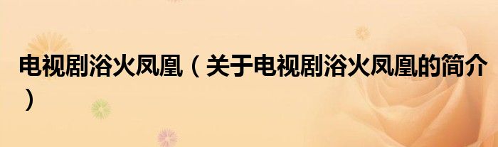 电视剧浴火凤凰（关于电视剧浴火凤凰的简介）