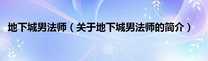 地下城男法师（关于地下城男法师的简介）