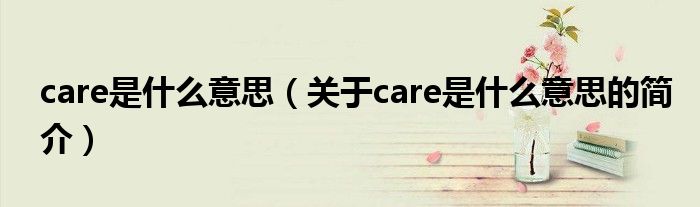 care是什么意思（关于care是什么意思的简介）