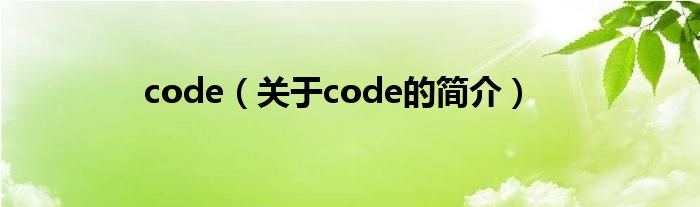 code（关于code的简介）