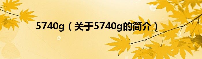 5740g（关于5740g的简介）