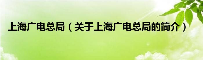 上海广电总局（关于上海广电总局的简介）