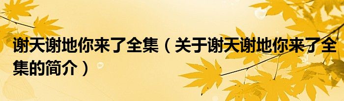 谢天谢地你来了全集（关于谢天谢地你来了全集的简介）