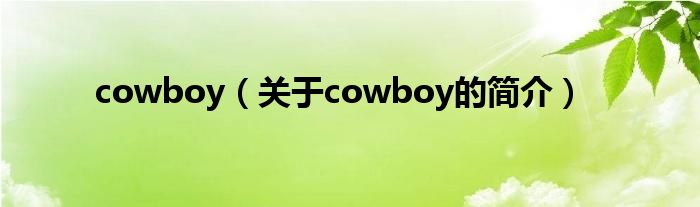 cowboy（关于cowboy的简介）