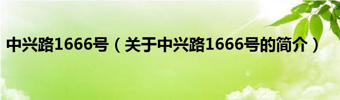 中兴路1666号（关于中兴路1666号的简介）