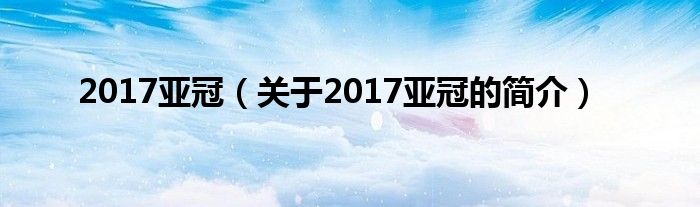 2017亚冠（关于2017亚冠的简介）