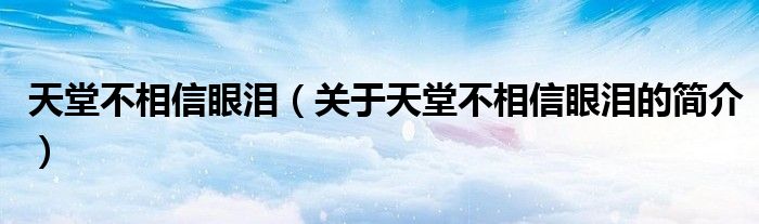 天堂不相信眼泪（关于天堂不相信眼泪的简介）