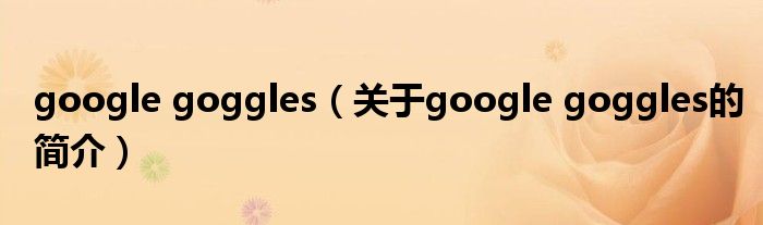 google goggles（关于google goggles的简介）