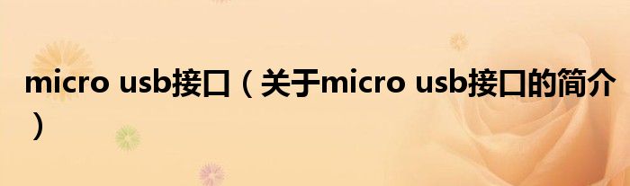 micro usb接口（关于micro usb接口的简介）
