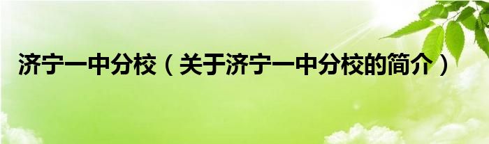 济宁一中分校（关于济宁一中分校的简介）