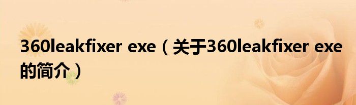 360leakfixer exe（关于360leakfixer exe的简介）