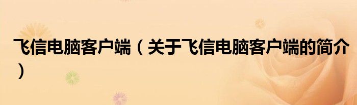 飞信电脑客户端（关于飞信电脑客户端的简介）