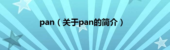 pan（关于pan的简介）
