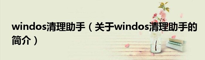 windos清理助手（关于windos清理助手的简介）