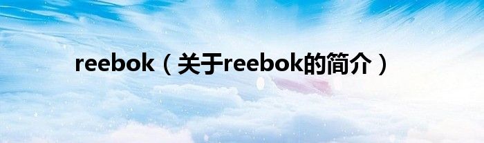 reebok（关于reebok的简介）