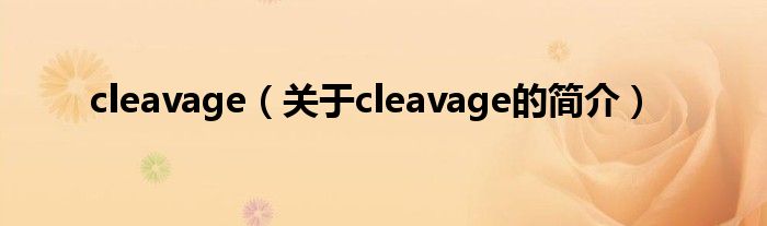 cleavage（关于cleavage的简介）