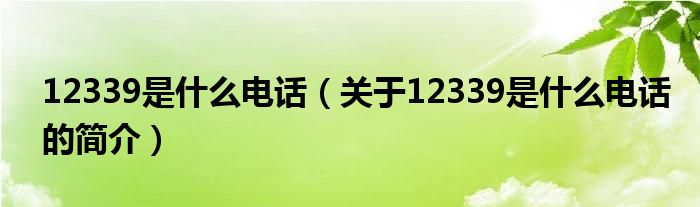 12339是什么电话（关于12339是什么电话的简介）