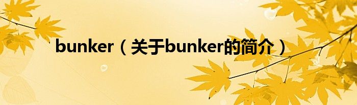 bunker（关于bunker的简介）