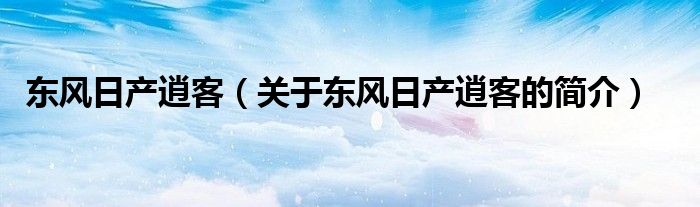 东风日产逍客（关于东风日产逍客的简介）