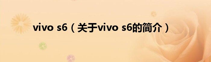 vivo s6（关于vivo s6的简介）