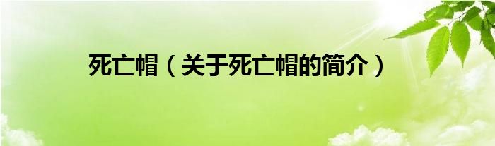 死亡帽（关于死亡帽的简介）