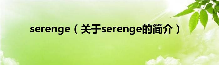serenge（关于serenge的简介）