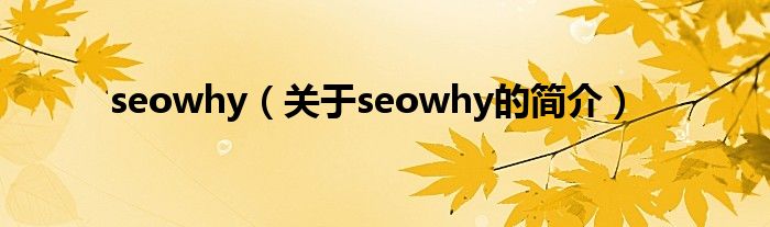 seowhy（关于seowhy的简介）