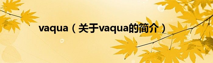 vaqua（关于vaqua的简介）