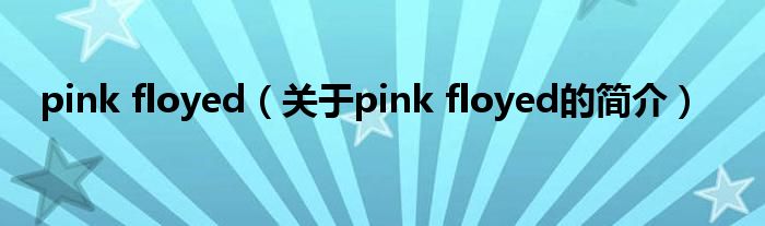 pink floyed（关于pink floyed的简介）