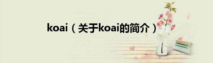 koai（关于koai的简介）