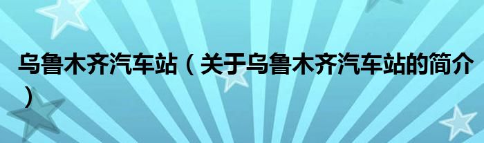 乌鲁木齐汽车站（关于乌鲁木齐汽车站的简介）