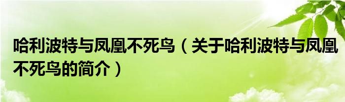 哈利波特与凤凰不死鸟（关于哈利波特与凤凰不死鸟的简介）