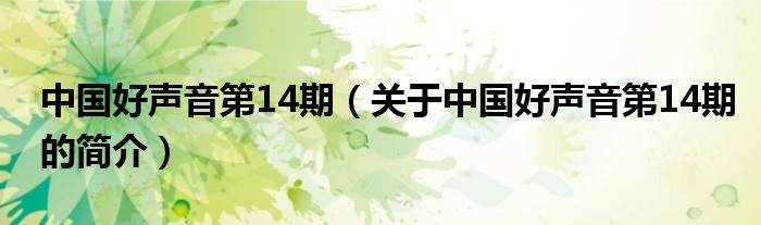 中国好声音第14期（关于中国好声音第14期的简介）