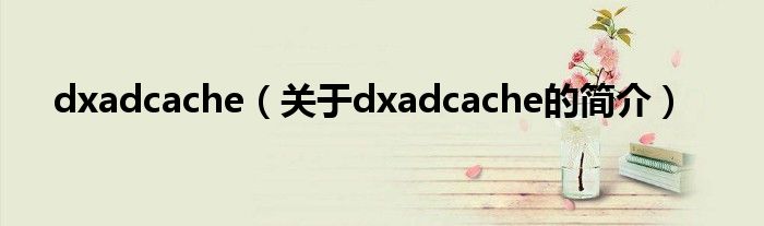dxadcache（关于dxadcache的简介）